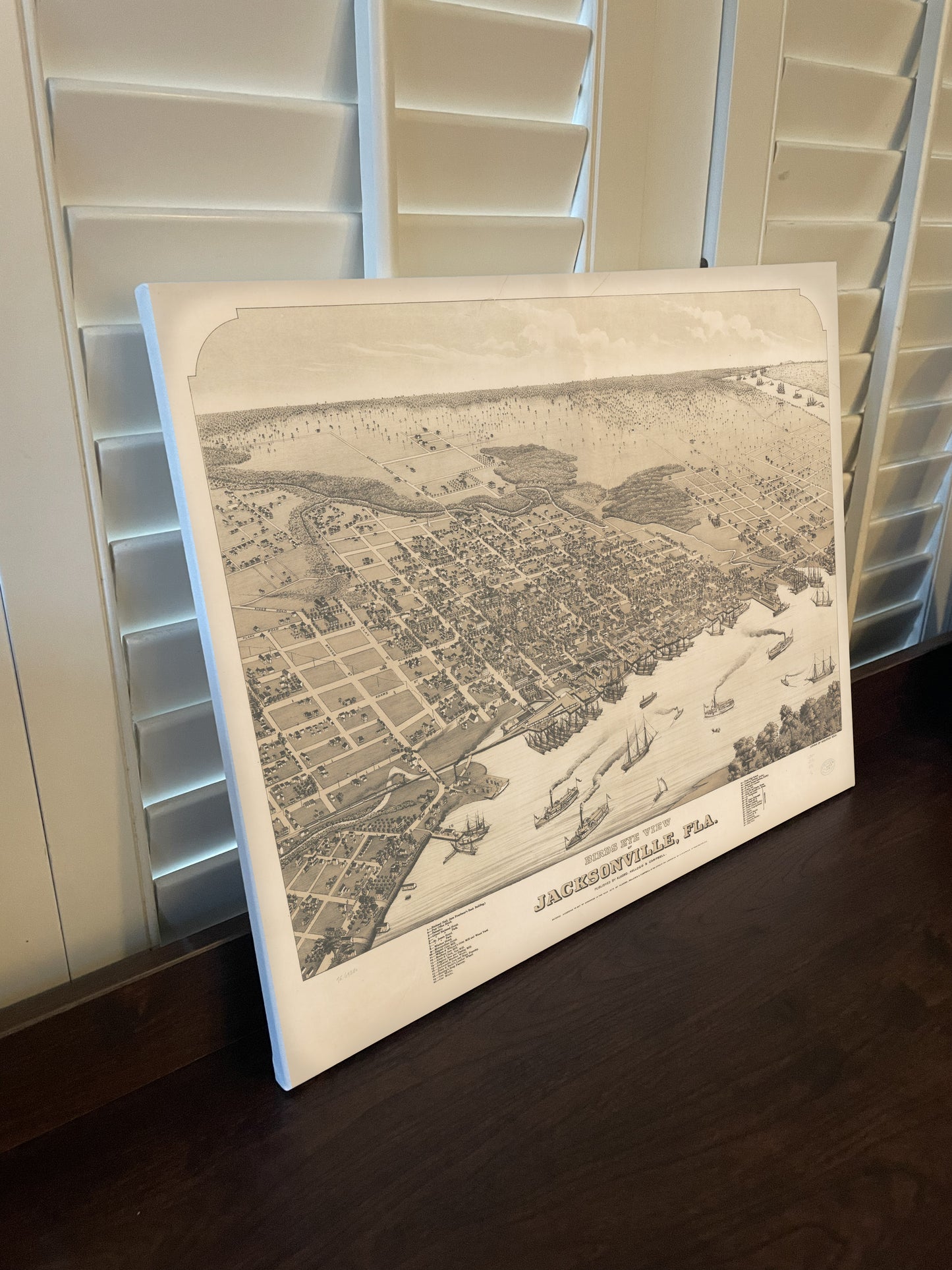 Historical Bird's Eye View of Jacksonville, Florida in 1878 print on Canvas or Poster.