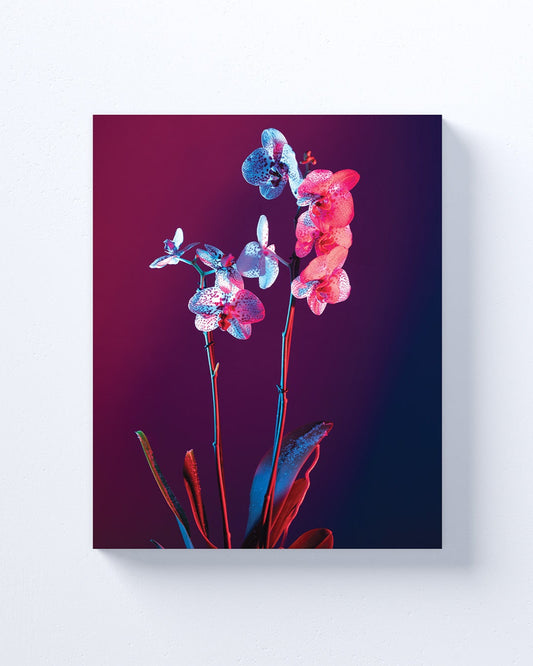 Neon Flowers 2 wall art prints.